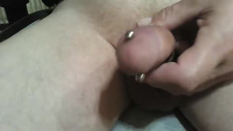 _pascal__ online show from September 14, 3:36 pm