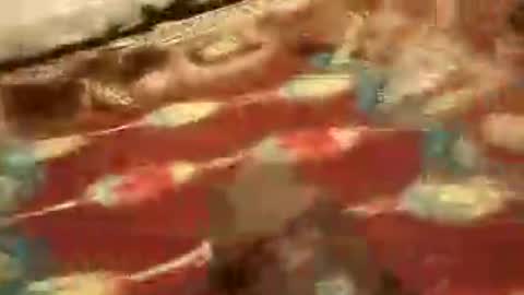 Ahmed online show from June 23, 7:24 am