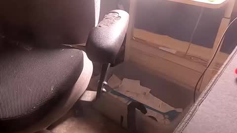 Wank Hank online show from March 20, 10:19 am