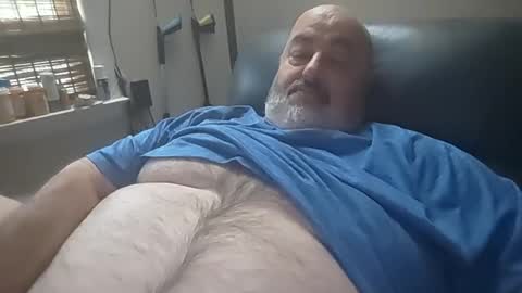 bigfuzzyteddybear online show from July 27, 2:35 pm