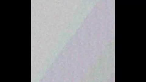 tinyted online show from February 8, 11:16 am