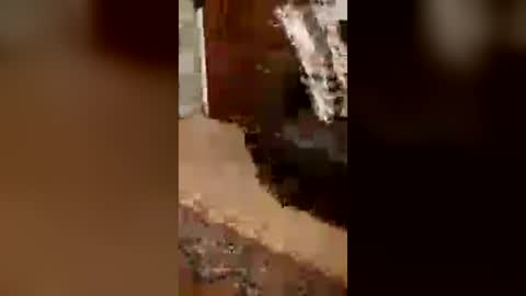 cachondo22fu online show from July 26, 2:41 am
