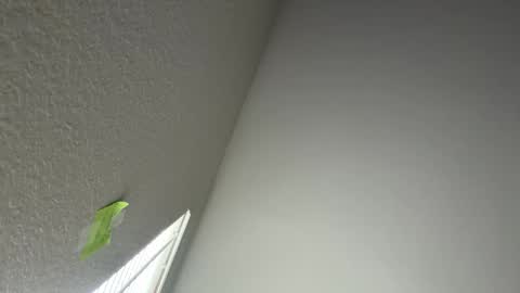 cakedupmothman online show from May 6, 5:57 pm