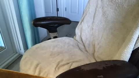 cals16 online show from March 18, 3:59 pm