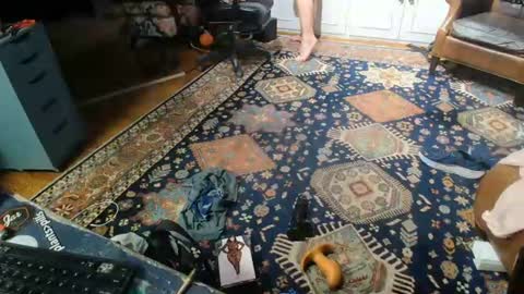 Sissu online show from July 22, 3:09 am