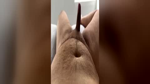 chubbydick9069 online show from June 15, 4:21 pm