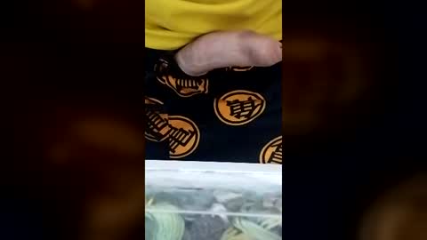 coronel_pliskin online show from July 1, 11:59 pm
