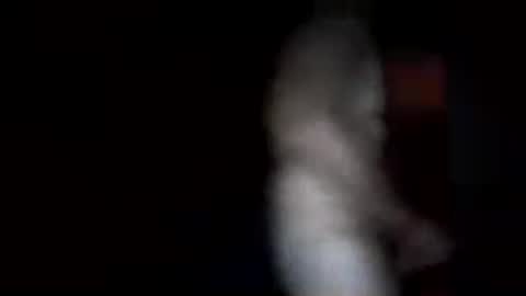 ctcfzybtbaez online show from July 13, 4:58 am