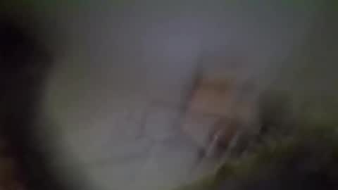 cunty_l0ve online show from May 10, 4:03 am