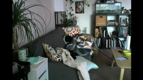 ElMetaTeDa online show from June 27, 12:22 pm