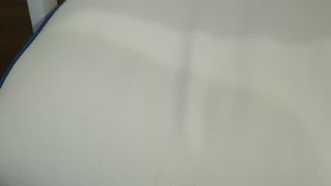 exhibapoil online show from July 30, 1:32 pm