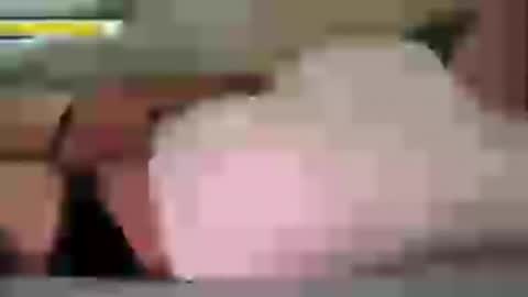 funnyhans online show from July 10, 7:01 am