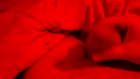 hapyending960 online show from March 24, 6:45 pm