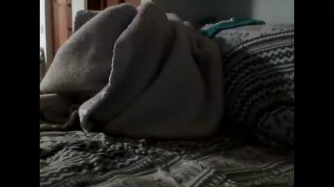 havier282874 online show from March 21, 6:45 pm