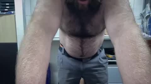 hybride8825 online show from May 9, 12:17 pm
