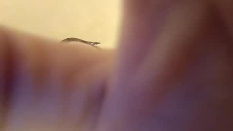 Italian stallion online show from July 27, 3:35 am