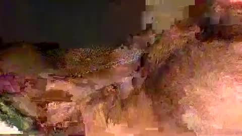 Masonite online show from November 23, 6:57 am