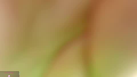 Team Cris Darwin- Fernando- Stiven- David online show from May 31, 11:33 am