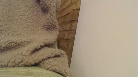 Mauro online show from February 26, 10:40 pm