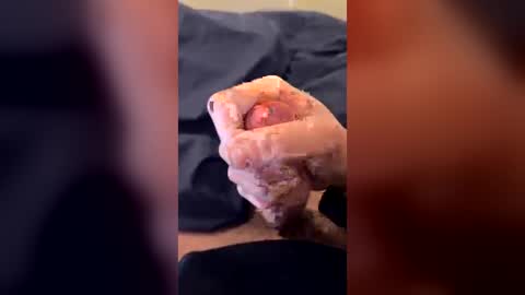 milton550 online show from June 27, 6:24 pm