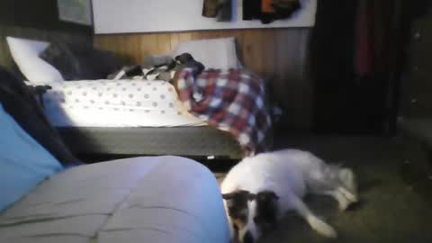 nice_one7411 online show from April 22, 2:07 am