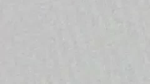 not_ink online show from June 23, 1:54 am