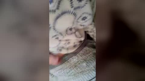 paugrandejf81000 online show from June 25, 6:56 pm