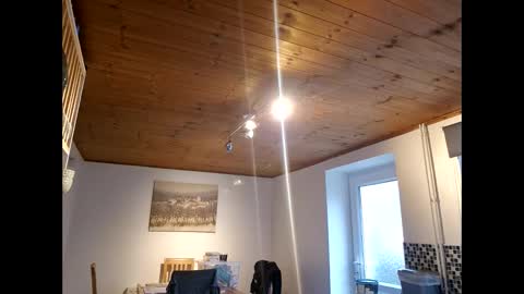 pete_le_meat online show from March 12, 12:24 pm