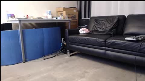 porncock79 online show from June 12, 9:34 pm