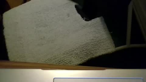 Roger online show from August 3, 11:54 pm