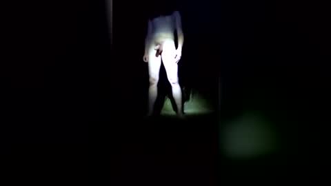 SaintReeves online show from August 4, 1:33 am