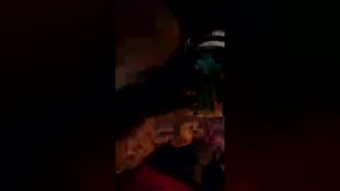 scottquentez online show from July 20, 10:39 am