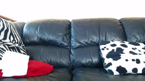 sex_gaming online show from May 24, 1:50 pm