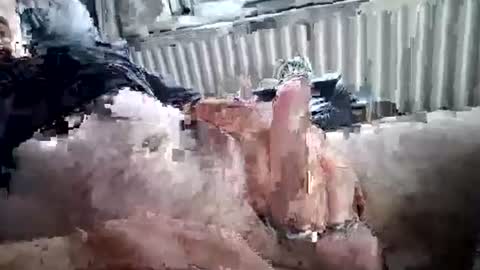 stud_1975 online show from June 29, 10:59 am