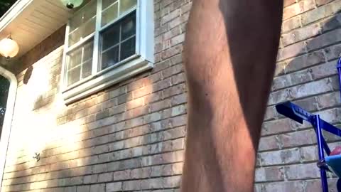make me your bitch  online show from September 14, 1:13 pm