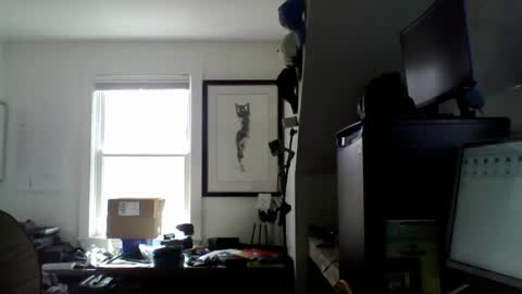 Sugar online show from April 28, 3:17 pm