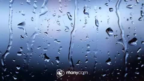 sven online show from February 4, 6:58 pm