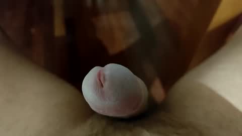 thicknordiccock online show from August 9, 6:47 pm
