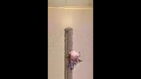todd25697 online show from May 10, 12:56 am