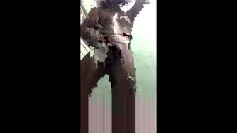 trashboy_gbc online show from May 18, 1:35 am