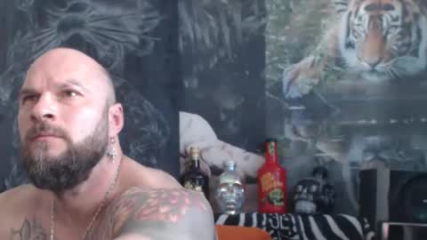 viking online show from April 15, 10:37 am