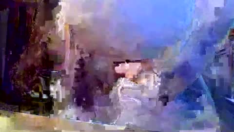 whydog online show from June 8, 12:28 am