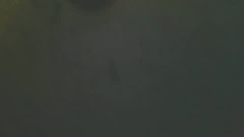 zomma44 online show from May 27, 3:03 am