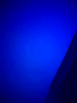 Buddy Cuck online show from March 27, 10:49 am
