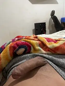 novinhodz online show from June 24, 3:04 pm