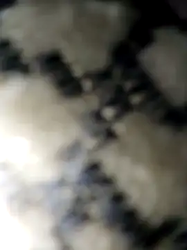 BBbentCock online show from June 11, 4:54 am