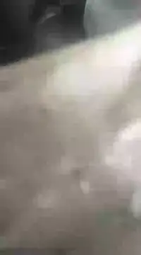 sonamony1 online show from February 4, 8:13 am