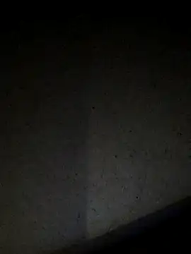 Leocesar37 online show from July 1, 8:37 am