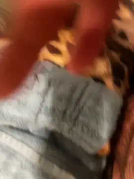 edgher646 online show from October 24, 8:49 am