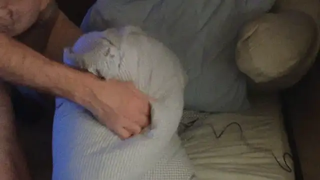 Twowellshapedheads online show from April 27, 1:02 am